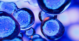 Fototapeta Do przedpokoju - Creative image of embryonic stem cells, cellular therapy. 3d illustration