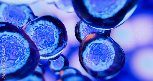 Cuadros en Lienzo Creative image of embryonic stem cells, cellular therapy