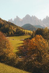 Sticker - Vertical shot of a beautiful village road on a hill surrounded by mountains