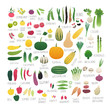 © liliya shlapak - Clip art food collection Vol.2: vegetables and herbs