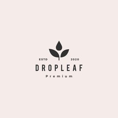 drop leaf logo hipster retro vintage vector icon