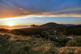 Fototapeta Niebo - New Zealand travel, Auckland, Wellington^ fiords and islands