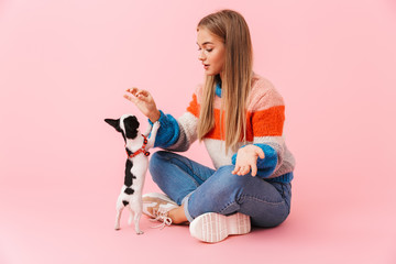 Sticker - Happy lovely girl playing with her pet chihuahua