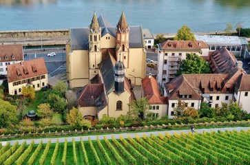 Wall Mural - Würzburg, Burkarderkirche, Weinberg, Main