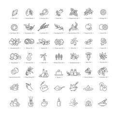 Vector set of natural ingredients and oils for cosmetics in linear style