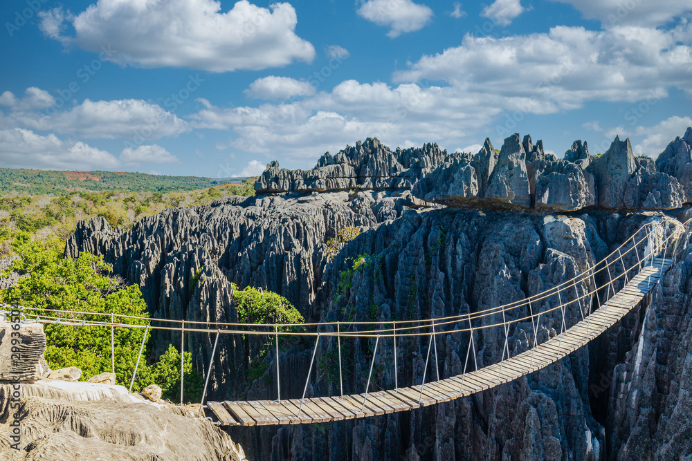 Suspension bridge at Tsingy de Bemaraha - Madagascar - obrazy, fototapety, plakaty 