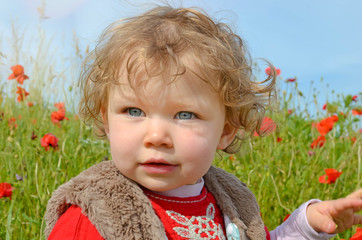 Sticker - pretty little girl playing in a field of poppies in bloom