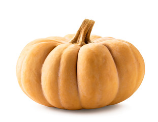 Ripe pumpkin close-up on a white background.