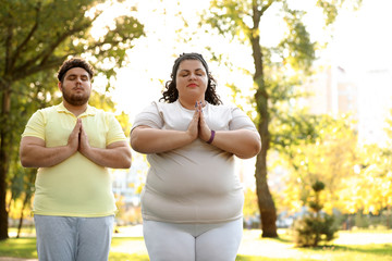 Wall Mural - Overweight couple training together in park on sunny day