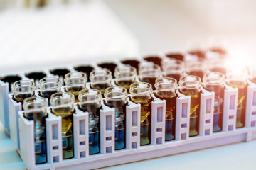 Rack of tube in laboratory with biological material in laboratory at the table. Closeup.