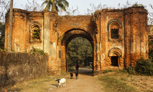 Murshidabad, West Bengal/India - January 17 2018: A Rural Scene Where Goats Hang About An Ancient, Ruined, Brick Built Gateway On The Outskirts Of Murshidabad.