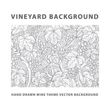 Vineyard. Vineyard Engraving Style Drawing Background And Pattern. Grape, Vine And Leafs Hand Drawn Vector Illustration. Part Of Set.