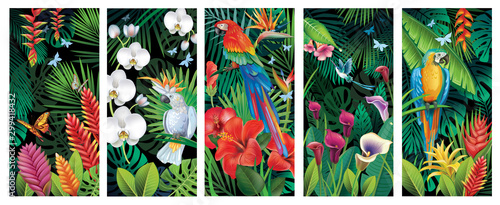 Set of Backgrounds with tropical jungle plants and birds Poster Mural XXL