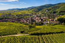An Aerial Panorama Of Ribeauvillé (France) With Vineyards