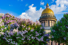 Saint Petersburg. Russia. Dome Of St. Isaac's Cathedral. Concept - Cathedrals Of Russia. Lilac. Dome Of The Church On The Background Of The Sky. Sights Of Russia. St. Petersburg Tourism. Vintage