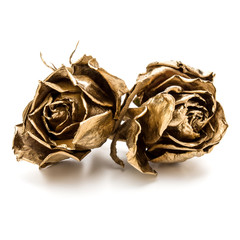 Wall Mural - Two gold roses isolated on white background cutout. Golden dried flower heads, romance concept.