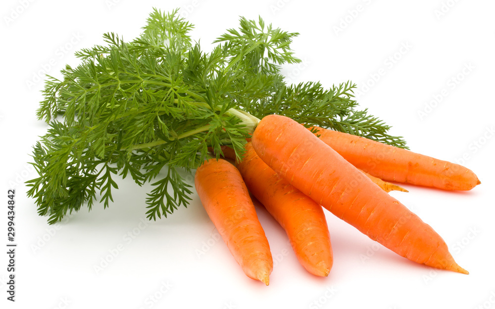 Obraz na płótnie Carrot vegetable with leaves isolated on white background cutout w salonie