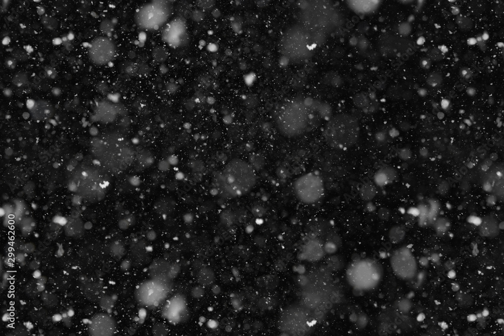 Real Falling Snow at night close-up overlay - obrazy, fototapety, plakaty 