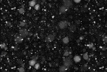 Real Falling Snow At Night Close-up Overlay