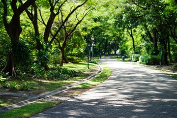 Poster - path in the park