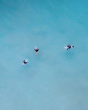High Angle Shot Of Three Surfers Swimming In The Pure Ocean