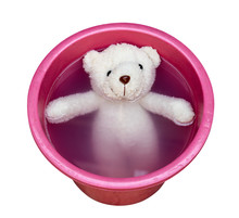 Washing Teddy Bear In Water Bucket,isolated On White Background,clipping Path