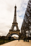 Fototapeta Boho - Eiffel tower in afternoon