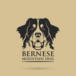 Bernese mountaing dog - isolated vector illustration