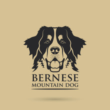 Bernese Mountaing Dog - Isolated Vector Illustration