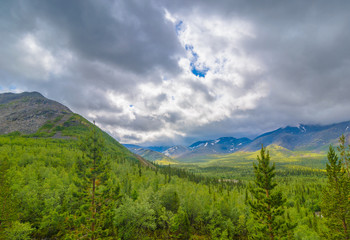 Wall Mural - Mountain forest landscape under stormy sky with clouds. Khibiny mountains above the Arctic circle, Kola peninsula, Murmansk region, Russia