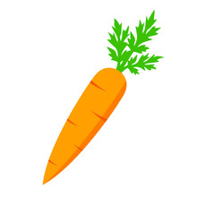 Crunchy Carrot Vector Icon