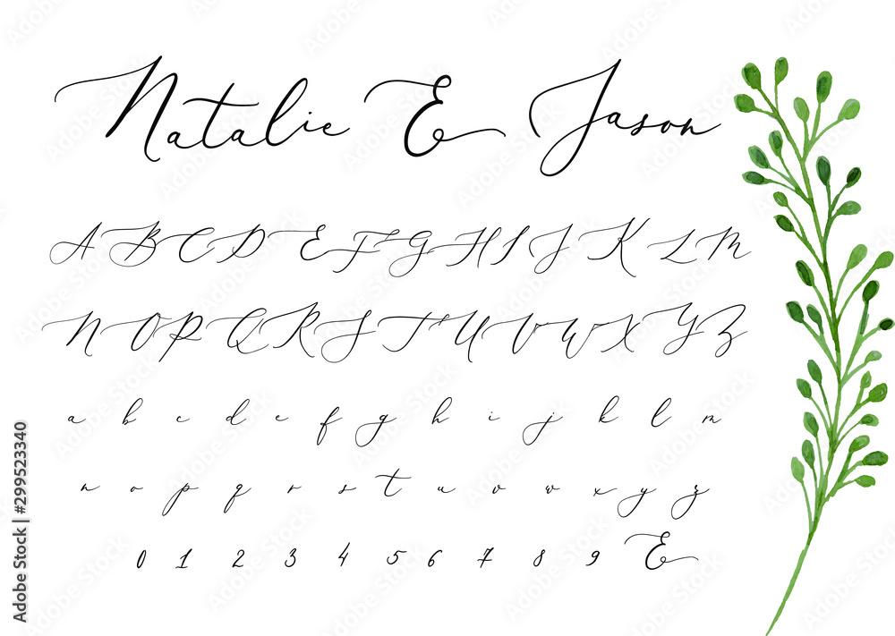 Download Script Alphabet Font Wall Mural Wallpaper Murals Wallsheaven Borntobe1