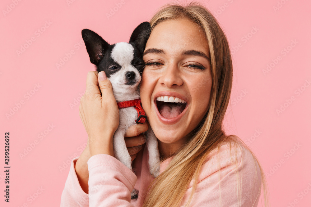 Cute lovely girl playing with her pet chihuahua - obrazy, fototapety, plakaty 