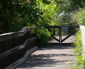 Close up of a wooden walkway toward the river in a park