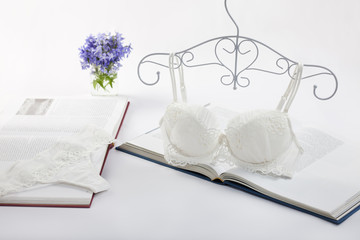 lingerie on books