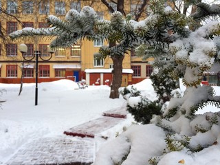 Snow-covered spruce branch close-up over the road leading to the yellow and red building blurred background.  Photo from the iPhone in the morning in January 2016 processed in the editor.