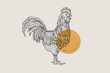 Retro engraving rooster. Hand-drawn picture with a poultry. Can be used for menu restaurants, for packaging in markets and shops. Vector vintage illustrations.