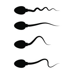 Spermatozoon sperm icon isolated on white background