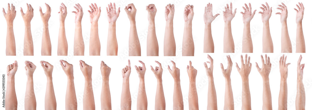 GROUP of Male asian hand gestures isolated over the white background. Soft Grab and Touch Action. - obrazy, fototapety, plakaty 