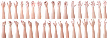GROUP Of Male Asian Hand Gestures Isolated Over The White Background. Soft Grab And Touch Action.
