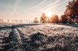 Leinwandbild Motiv Calm and wonderful peaceful winter morning with frozen grass meadow and white nature and colorful ealry morning sunrise tones. Frosty white winter wonderland in the countryside with shadows