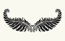 Hand Drawn Fairytale Fern Leaf Plant. Symmetrically Arranged Two Leaves Of Fern Like Wings. Vector Illustration Of A Beautiful Decor Of Nature Element.