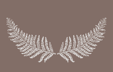 Hand drawn fern leaves plant. Symmetrically arranged two leaves of fern  resemble a mustache. Floral Black graphics on a brown background. Vector illustration of a beautiful decor of nature element.