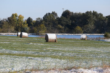 Canvas Print - Snowy Field