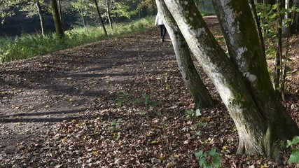 Sticker - bois foret environnement promeneur balade automne