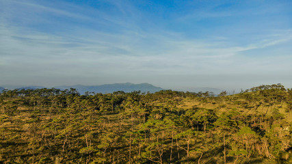 Wall Mural - view of rural landscape