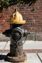 Classic US Style Fire Hydrant Seen Installed On A Boston Sidewalk Seen In Early Autumn.