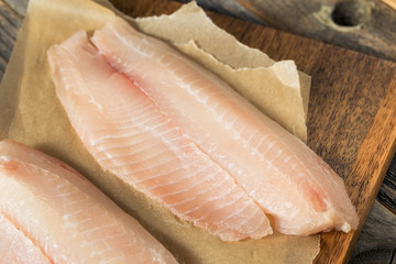 Poster - Raw White Organic Tilapia Fish