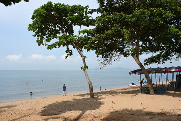 Wall Mural - beach in thailand