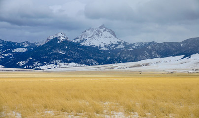 Cold winter winds blow across the scenic prairies of Montana on an overcast day.